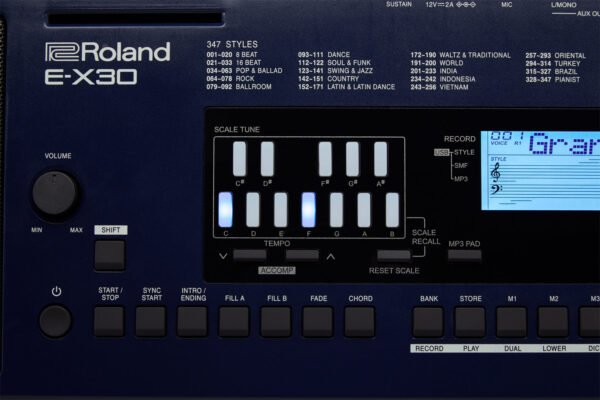 E-X30 Arranger Keyboard