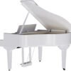 Roland GP-9M Digital Piano | Flagship Grand in UAE