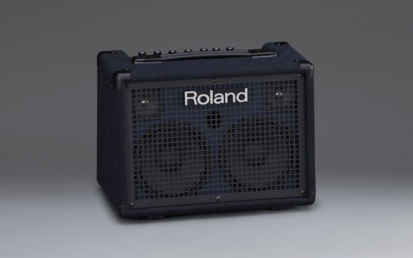 KC-220 Battery Powered Stereo Keyboard Amplifier