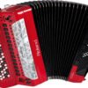 FR-8xb V-Accordion Flagship button-type