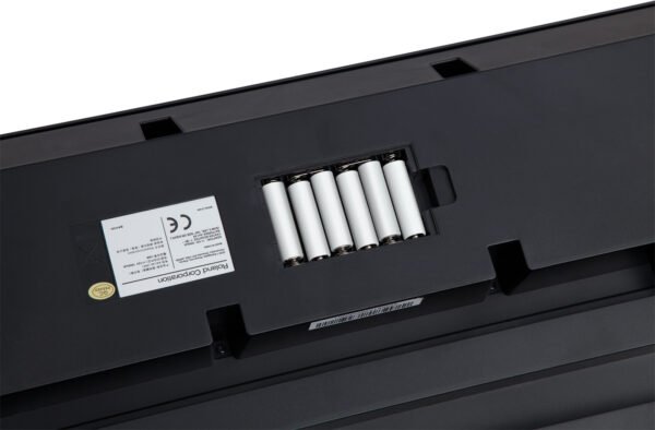 E-X20 Arranger Keyboard