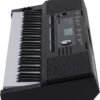 E-X20 Arranger Keyboard