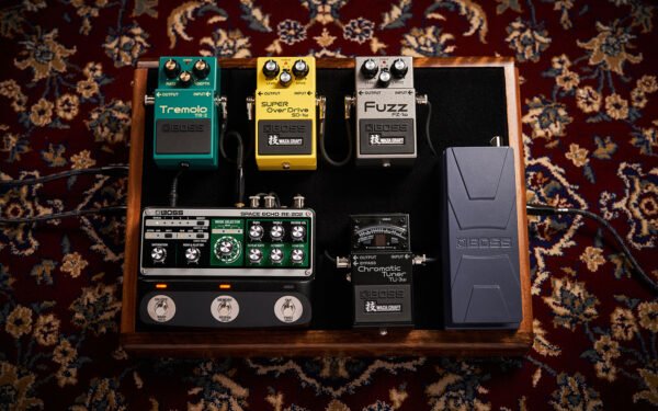 RE-202 Space Echo