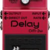 DM-2W Delay