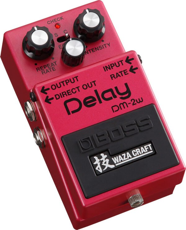 DM-2W Delay