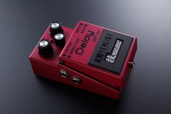 DM-2W Delay