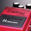 DM-2W Delay