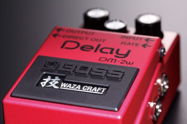 DM-2W Delay