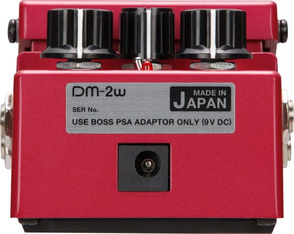 DM-2W Delay