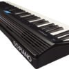 Digital Piano GO-61P