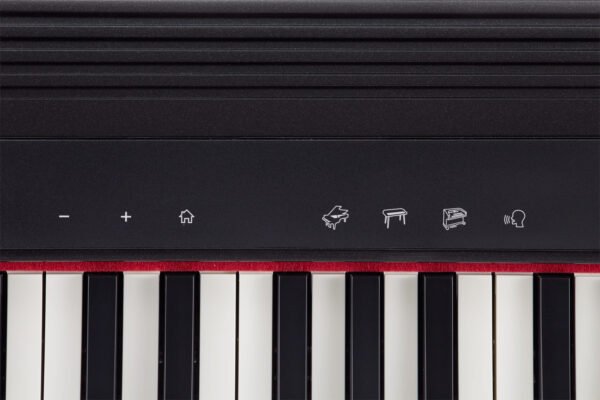 Digital Piano GO-61P