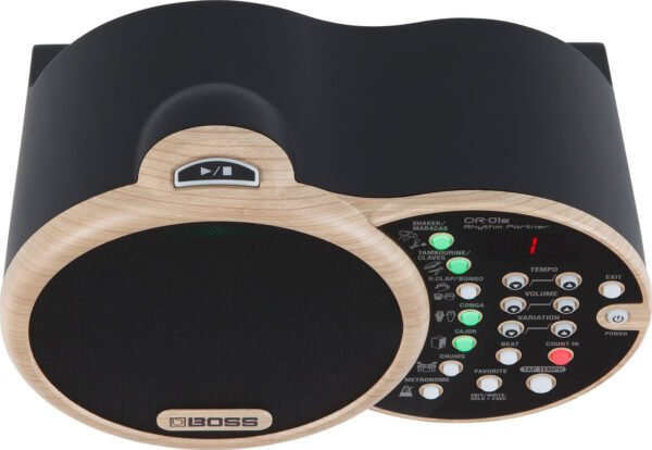 DR-01S Rhythm Partner
