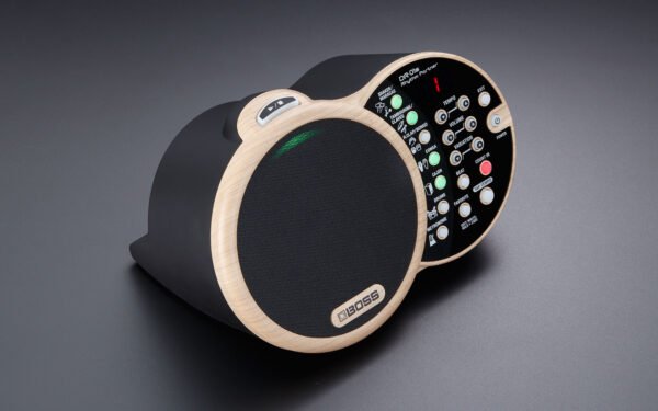 DR-01S Rhythm Partner