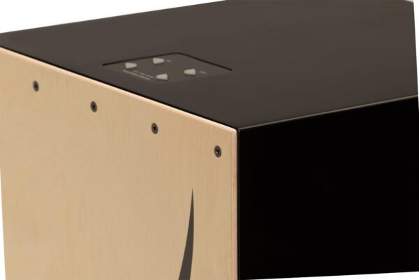 ELCajon EC-10 Electronic Layered Cajon