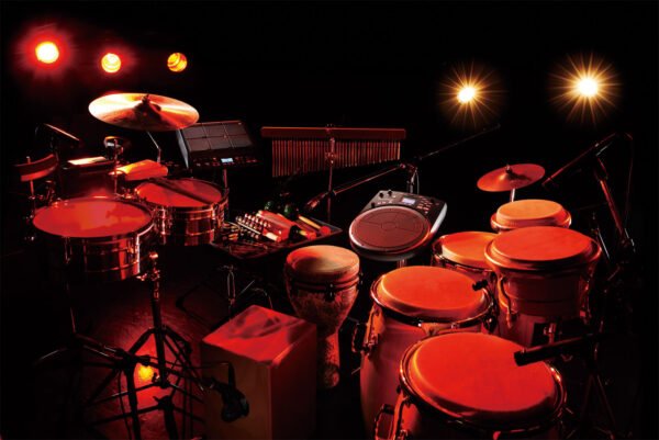 HandSonic HPD-20 Digital Hand Percussion