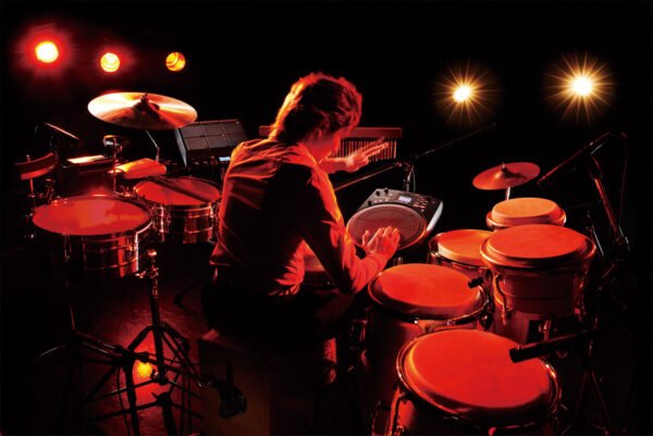 HandSonic HPD-20 Digital Hand Percussion