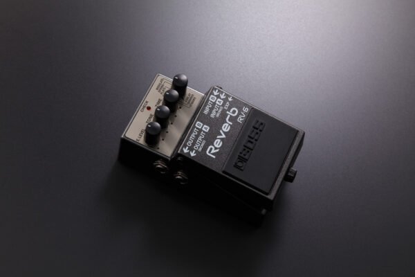 RV-6 Reverb