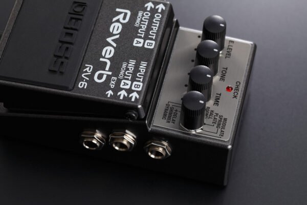 RV-6 Reverb