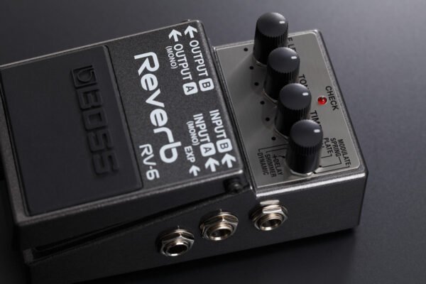 RV-6 Reverb
