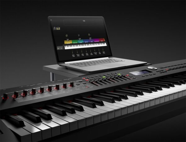 RD-2000 Stage Piano