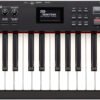 RD-88 EX Stage Piano