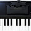 K-25m