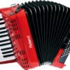 FR-1x V-Accordion