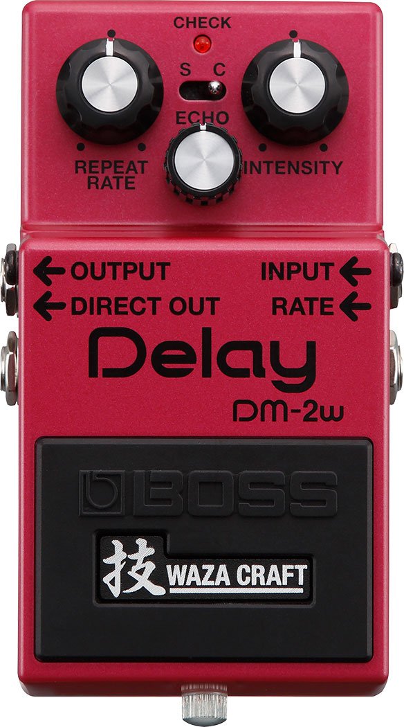 DM-2W Delay