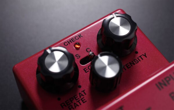 DM-2W Delay