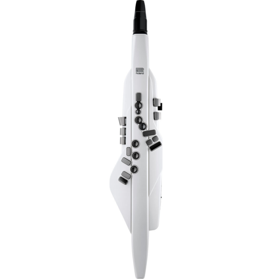 Aerophone AE-20 Digital Wind Instrument