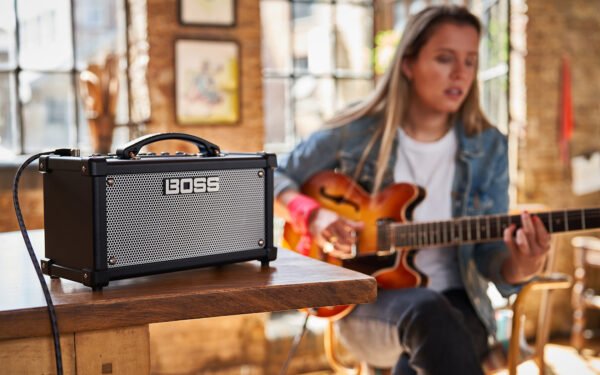 DUAL CUBE LX Guitar Amplifier
