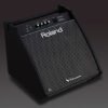 PM-200 Personal Monitor