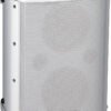 BA-55 Battery-Powered Portable Amplifier