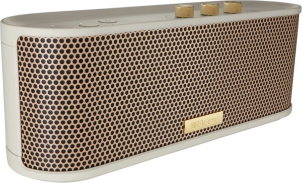 BTM-1 Bluetooth Speaker with Instrument Input