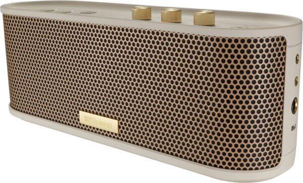 BTM-1 Bluetooth Speaker with Instrument Input